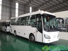 Cho Thuê Xe 35 Chỗ Đi Đông Đảo Phú Quốc 1 Ngày